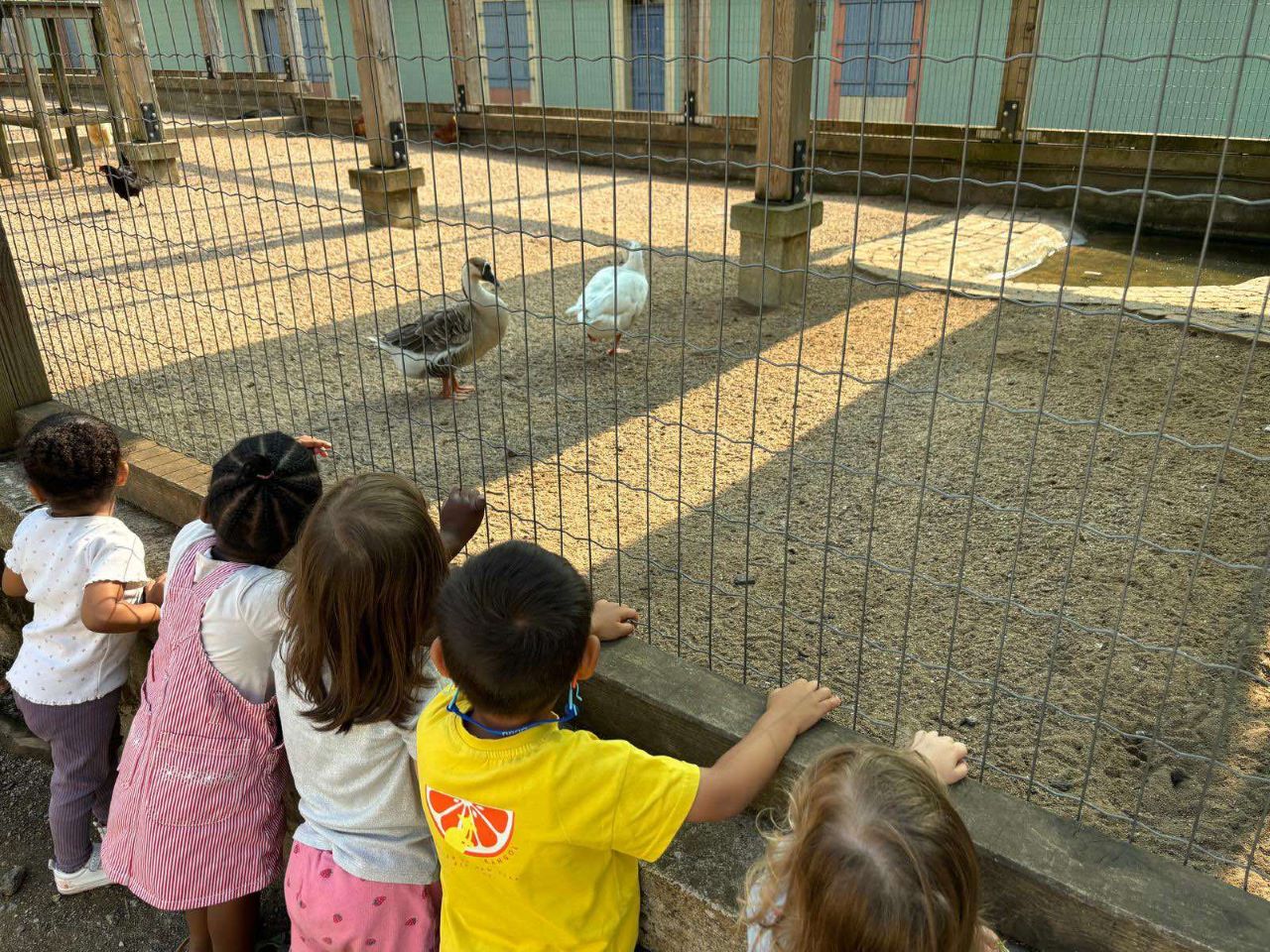 Cette été était rempli de visites de parcs