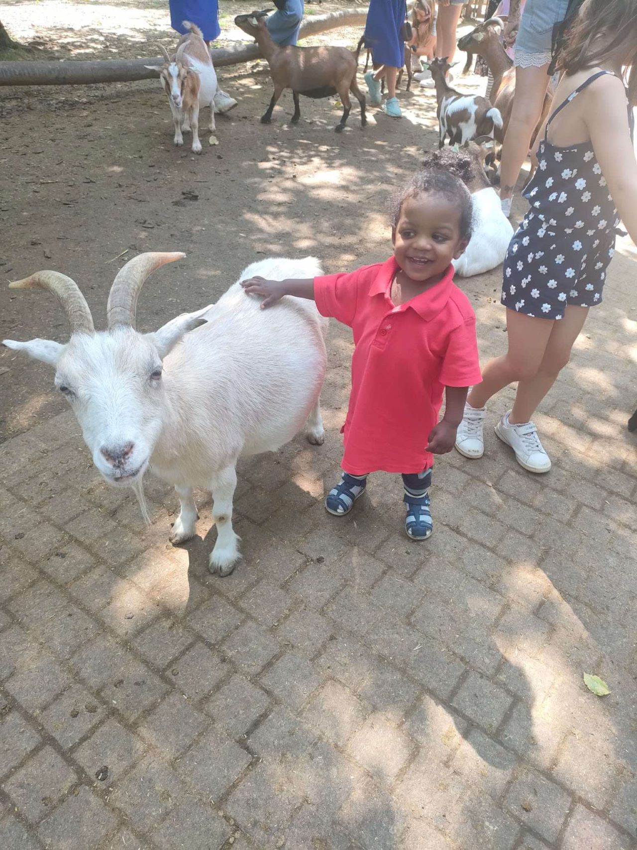 Cette été était rempli de visites de parcs