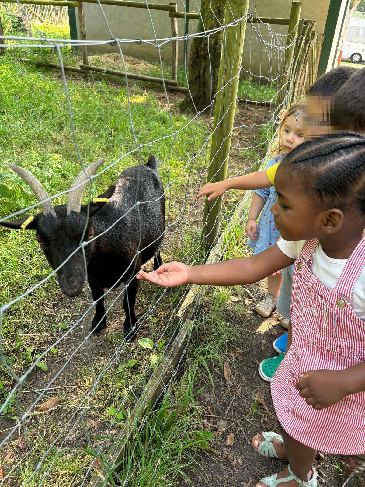 Cette été était rempli de visites de parcs