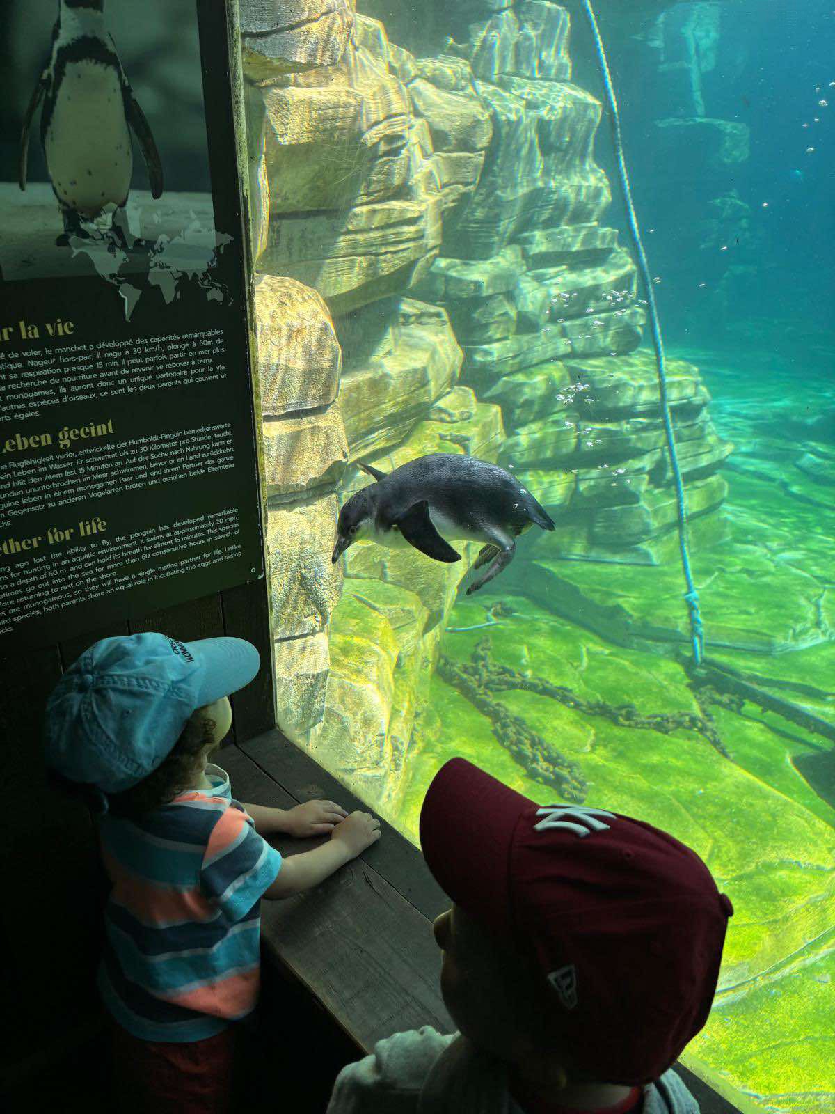 Cette été était rempli de visites de parcs