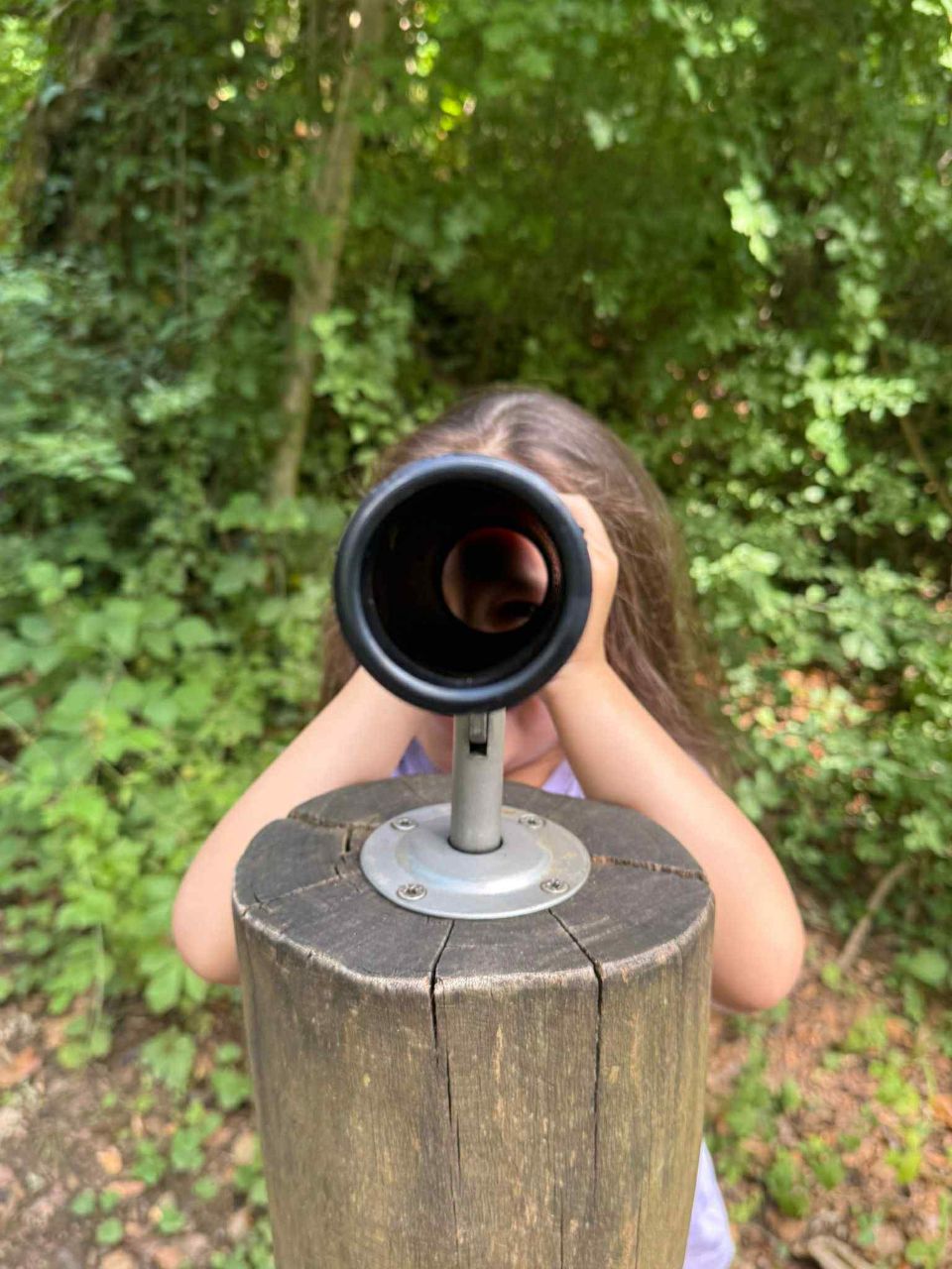 Déifferdenger Märchewee