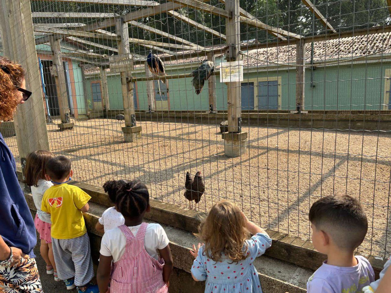Cette été était rempli de visites de parcs
