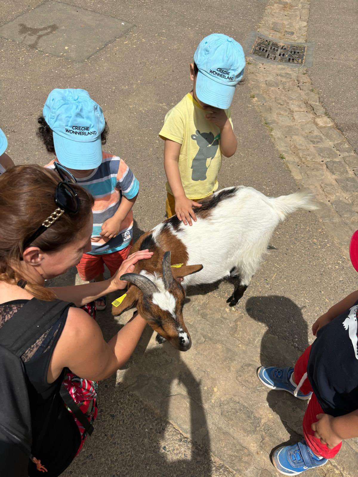 Cette été était rempli de visites de parcs