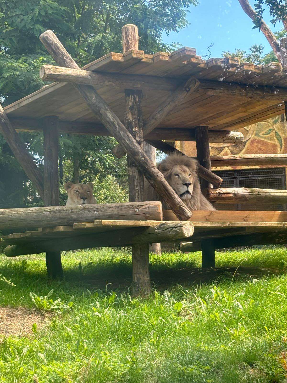 Cette été était rempli de visites de parcs