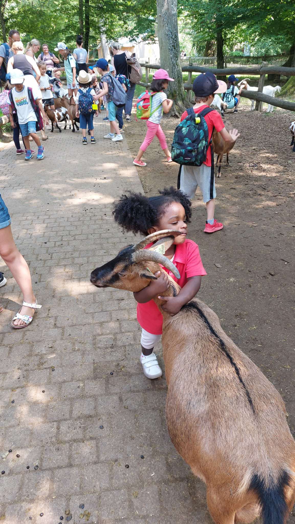 Cette été était rempli de visites de parcs