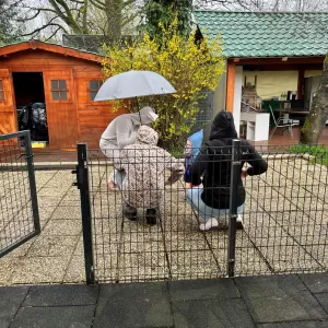 Monsieur Lapin à la Villa