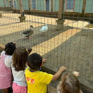 Cette été était rempli de visites de parcs