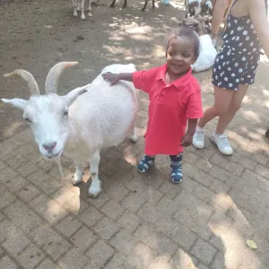 Cette été était rempli de visites de parcs