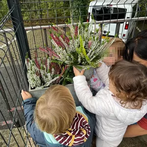 Mir sinn an de Blummebuttek gaangen