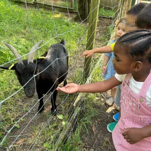 Cette été était rempli de visites de parcs