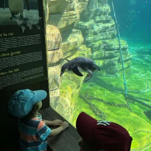 Cette été était rempli de visites de parcs