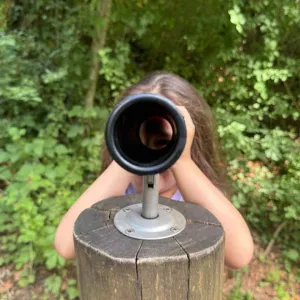 Déifferdenger Märchewee