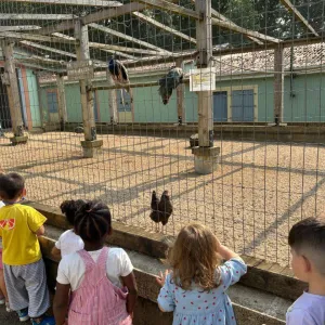 Cette été était rempli de visites de parcs