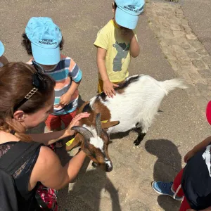 Cette été était rempli de visites de parcs
