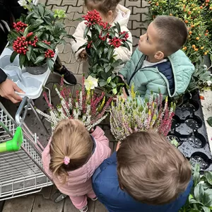 Mir sinn an de Blummebuttek gaangen