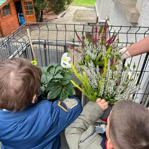 Mir sinn an de Blummebuttek gaangen