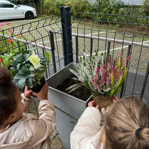 Mir sinn an de Blummebuttek gaangen