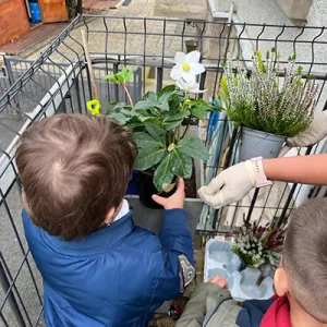 Mir sinn an de Blummebuttek gaangen